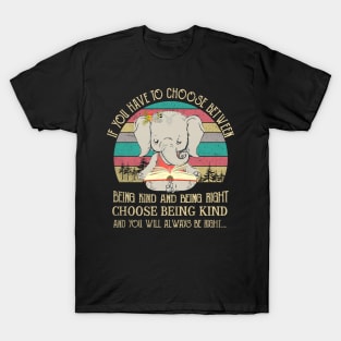 Being Kind Being Right T-Shirt